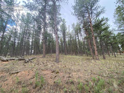 Photo of 60 Pickens Road, Florissant, CO 80816 (MLS # 3057797)