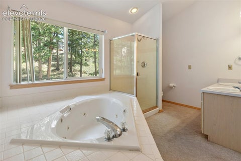 Tiny photo for 625 Sun Valley Drive, Woodland Park, CO 80863 (MLS # 6853426)