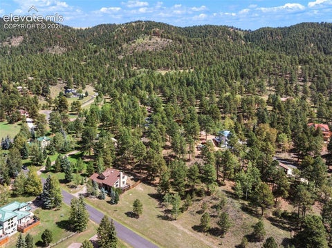 Tiny photo for 625 Sun Valley Drive, Woodland Park, CO 80863 (MLS # 6853426)