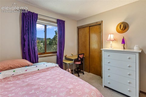 Tiny photo for 750 W Northwoods Drive, Woodland Park, CO 80863 (MLS # 6326689)
