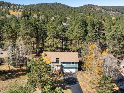 Photo of 750 W Northwoods Drive, Woodland Park, CO 80863 (MLS # 6326689)
