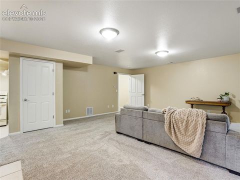 Tiny photo for 4660 Hagerman Avenue, Cascade, CO 80809 (MLS # 6626393)