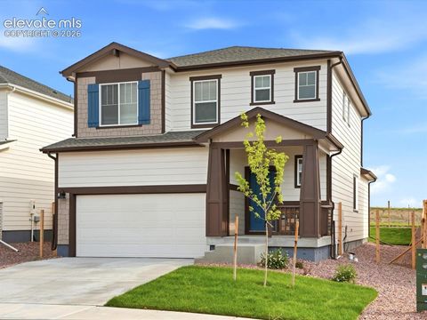 Photo of 11409 Pikeminnow Place, Colorado Springs, CO 80925 (MLS # 6341939)