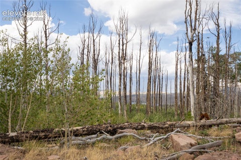 Photo of 1947 Hilda Lane, Fort Garland, CO 81133 (MLS # 2420541)