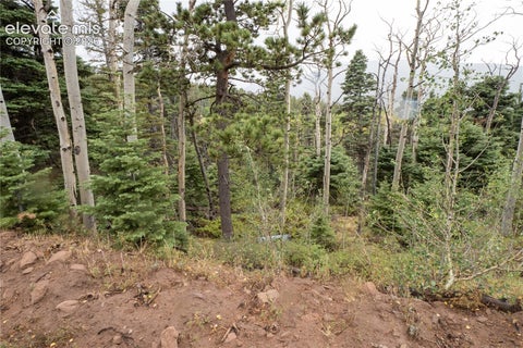 Photo of 2825 Moir Drive, Fort Garland, CO 81133 (MLS # 8284370)