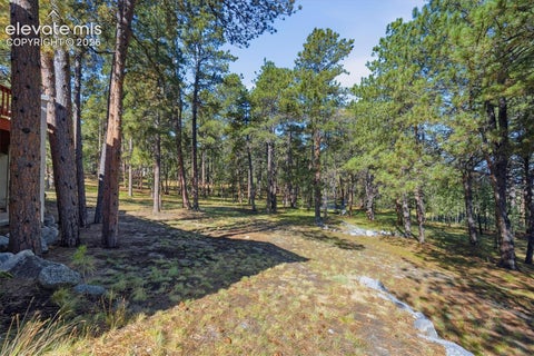Tiny photo for 20470 Lockridge Drive, Colorado Springs, CO 80908 (MLS # 9371200)