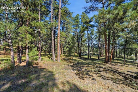 Tiny photo for 20470 Lockridge Drive, Colorado Springs, CO 80908 (MLS # 9371200)