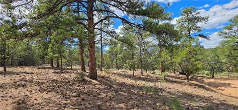 Photo of 638 Keith Lane, Cotopaxi, CO 81223 (MLS # 9328967)