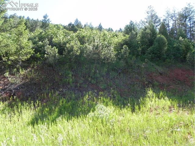 8117 Acoma Drive, Larkspur, CO, 80118 8117 Acoma Drive