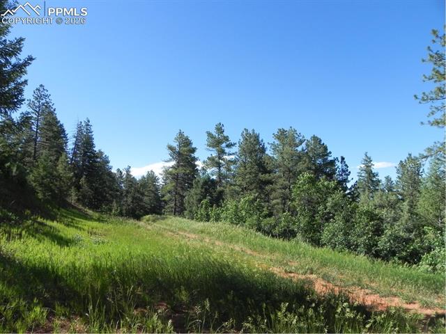 8117 Acoma Drive, Larkspur, CO, 80118 8117 Acoma Drive