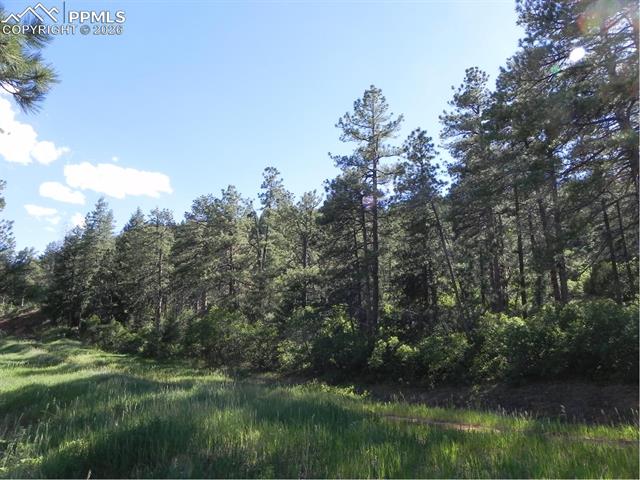 8117 Acoma Drive, Larkspur, CO, 80118 8117 Acoma Drive