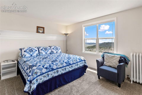 Tiny photo for 43 Spring Valley Drive, Florissant, CO 80816 (MLS # 7608950)