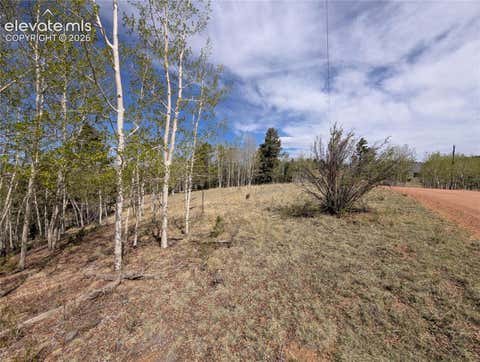 Photo of 905 May Queen Drive, Cripple Creek, CO 80813 (MLS # 4447226)