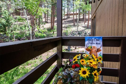 Tiny photo for 560 Manor Court #A, Woodland Park, CO 80863 (MLS # 5001218)