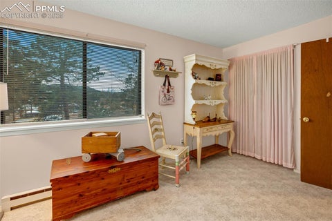 Tiny photo for 560 Manor Court #A, Woodland Park, CO 80863 (MLS # 5001218)