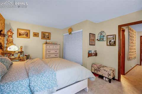 Tiny photo for 560 Manor Court #A, Woodland Park, CO 80863 (MLS # 5001218)