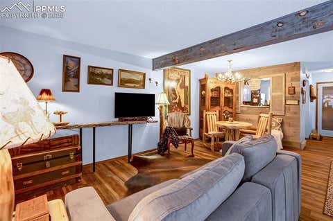 Tiny photo for 560 Manor Court #A, Woodland Park, CO 80863 (MLS # 5001218)