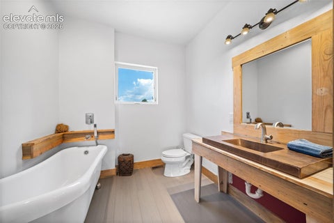 Tiny photo for 351 High Pasture Road, Florissant, CO 80816 (MLS # 2272789)