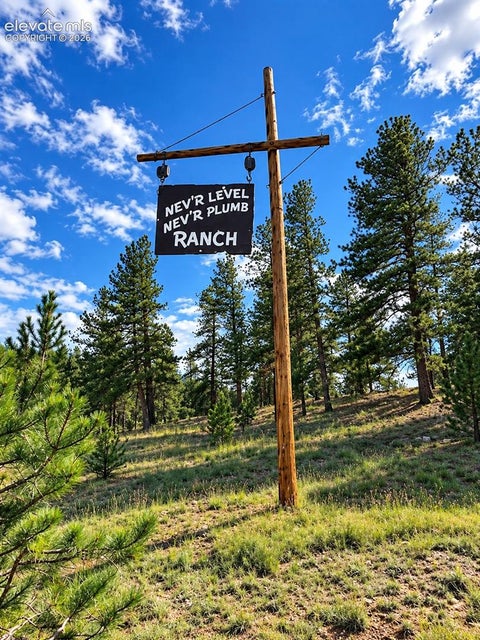 Photo of TBD Trail Creek Road, Florissant, CO 80816 (MLS # 7601402)