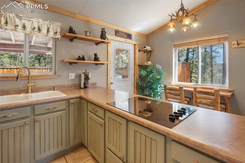Tiny photo for 31 Handcart Circle, Florissant, CO 80816 (MLS # 7832566)