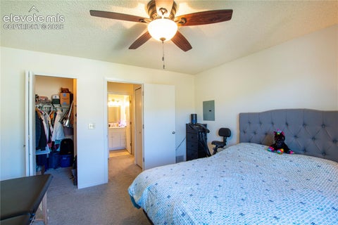 Tiny photo for 380 Paradise Circle #C6, Woodland Park, CO 80863 (MLS # 8398576)