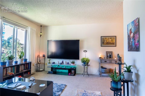 Tiny photo for 380 Paradise Circle #C6, Woodland Park, CO 80863 (MLS # 8398576)