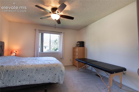 Tiny photo for 380 Paradise Circle #C6, Woodland Park, CO 80863 (MLS # 8398576)