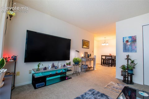 Tiny photo for 380 Paradise Circle #C6, Woodland Park, CO 80863 (MLS # 8398576)