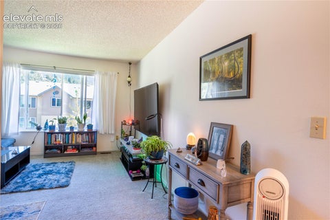 Tiny photo for 380 Paradise Circle #C6, Woodland Park, CO 80863 (MLS # 8398576)