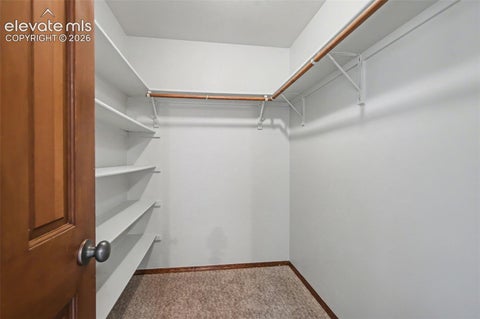 Tiny photo for 230 Blue Garter Way, Monument, CO 80132 (MLS # 2439121)