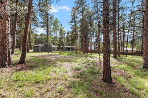 Tiny photo for 450 County Road, Woodland Park, CO 80863 (MLS # 9848347)