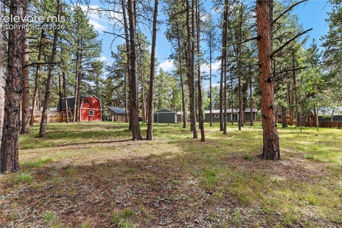 Tiny photo for 450 County Road, Woodland Park, CO 80863 (MLS # 9848347)