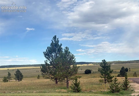 Photo of 18819 Cherry Springs Ranch Drive, Monument, CO 80132 (MLS # 8487345)