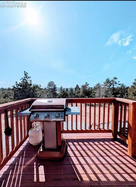 Tiny photo for 23 Nimbus Lane, Florissant, CO 80816 (MLS # 9463090)