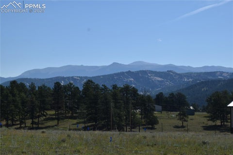 Photo of 431 High Chateau Road, Florissant, CO 80816 (MLS # 4609673)