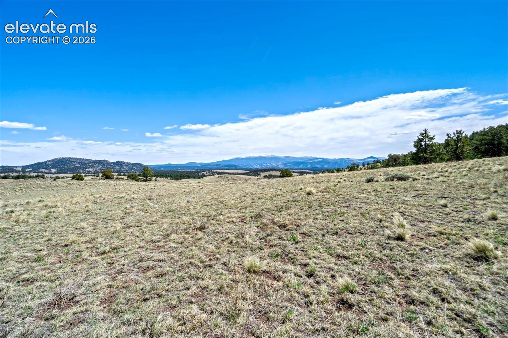 0 Roan Trail