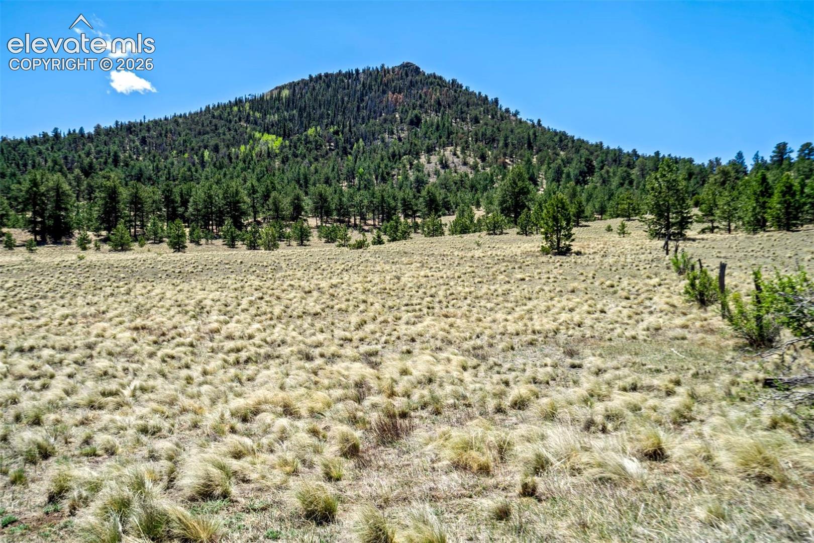 0 Roan Trail
