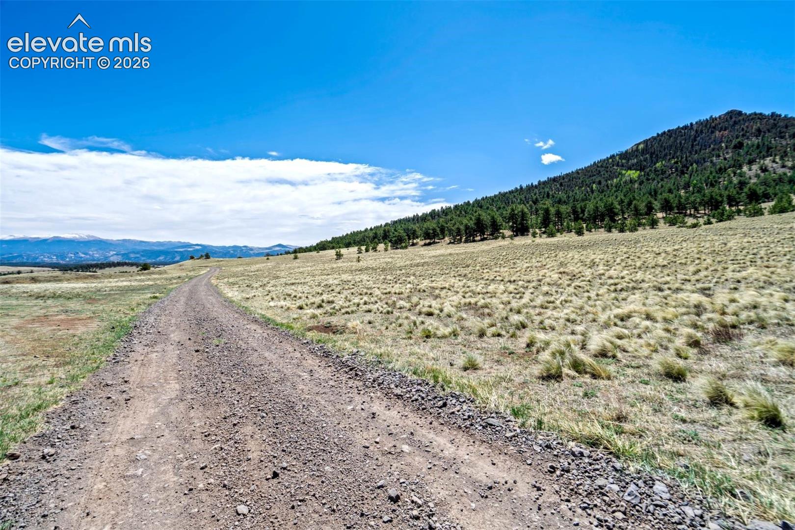 0 Roan Trail