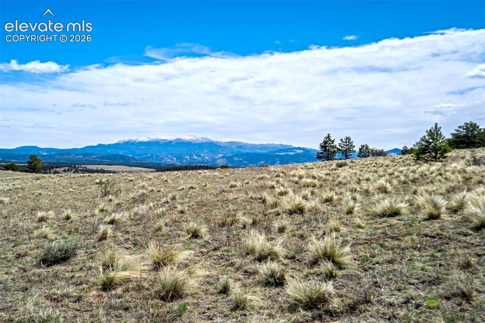 0 Roan Trail