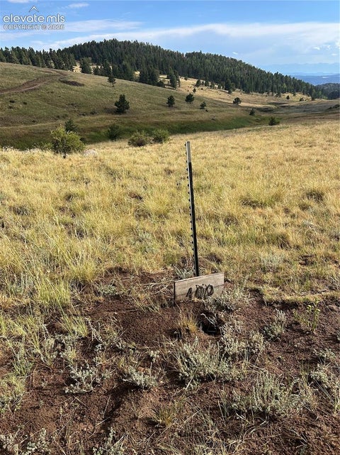 Photo of 1100 Grumpy Burrow View, Cripple Creek, CO 80863 (MLS # 8078607)