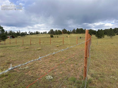 Tiny photo for 406 High Pasture Road, Florissant, CO 80816 (MLS # 1501099)