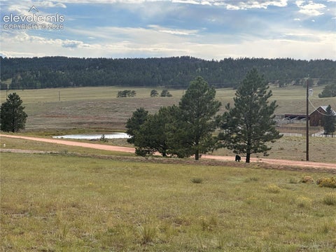 Tiny photo for 406 High Pasture Road, Florissant, CO 80816 (MLS # 1501099)