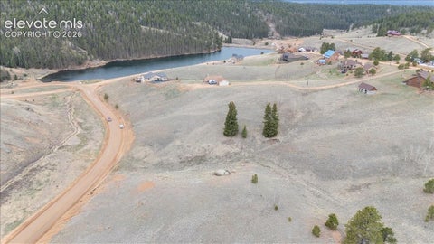 Photo of 175 Twin Lakes Drive, Divide, CO 80814 (MLS # 2893772)