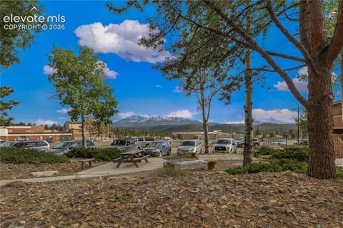 Tiny photo for 401 Forest Edge Road #A1, Woodland Park, CO 80863 (MLS # 7086295)