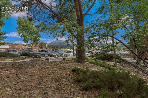 Tiny photo for 401 Forest Edge Road #A1, Woodland Park, CO 80863 (MLS # 7086295)