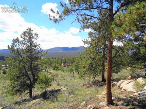Tiny photo for 549 Circle Drive, Florissant, CO 80816 (MLS # 7059672)
