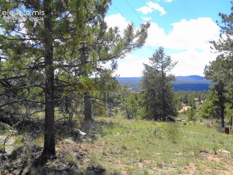 Tiny photo for 549 Circle Drive, Florissant, CO 80816 (MLS # 7059672)