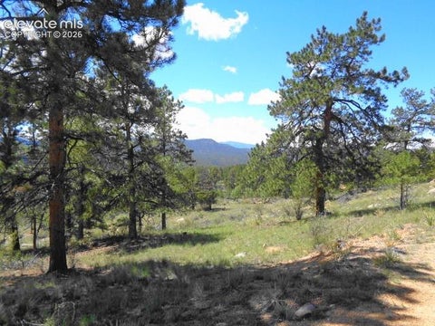 Tiny photo for 549 Circle Drive, Florissant, CO 80816 (MLS # 7059672)
