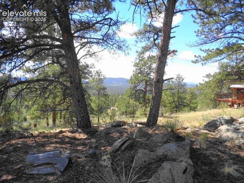 Tiny photo for 549 Circle Drive, Florissant, CO 80816 (MLS # 7059672)