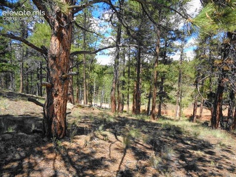 Tiny photo for 549 Circle Drive, Florissant, CO 80816 (MLS # 7059672)